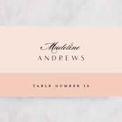 "Classical" - Place Cards in Blush by Michelle Taylor - Detail