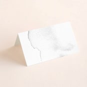 "Moxie" - Place Cards in Ink by Design Lotus - Blank front