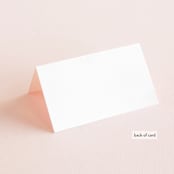 "Peony" - Place Cards in Ice Mist by Cass Loh - Folded Back of Card