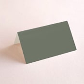 "Modern Bookmark" - Place Cards in Cactus by Jill Means - Blank front