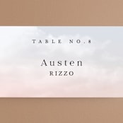 "scene" - Place Cards in Sunrise by Pixel and Hank - Detail