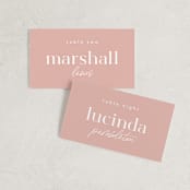 "Party Accordingly" - Place Cards in Blush by Hudson meet Rose - Front with Free Guest Printing