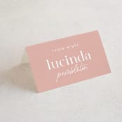 "Party Accordingly" - Place Cards in Blush by Hudson meet Rose - Folded with Free Guest Printing
