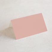 "Party Accordingly" - Place Cards in Blush by Hudson meet Rose - Blank front