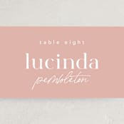 "Party Accordingly" - Place Cards in Blush by Hudson meet Rose - Detail