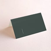 "Swanky" - Place Cards in Forest by Carolyn Nicks - Blank front