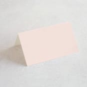 "Casablanca" - Place Cards in Blush by Lori Wemple - Blank front