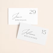 "chloe " - Place Cards in Silk by Kelly Schmidt - Front with Free Guest Printing