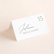"chloe " - Place Cards in Silk by Kelly Schmidt - Folded with Free Guest Printing