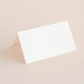 "Bold Love" - Place Cards in Antique by Brandy Folse - Blank front