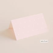 "Lettera" - Place Cards in Blush by Lauren Chism - Folded Back of Card