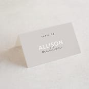 "Styled" - Place Cards in Fog by Pixel and Hank - Folded with Free Guest Printing