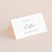 "Cummings" - Place Cards in Cotton by Amy Kross - Folded with Free Guest Printing