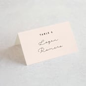 "Just the Two of Us" - Place Cards in Blush by Jennifer Wick - Folded with Free Guest Printing