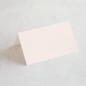 "Just the Two of Us" - Place Cards in Blush by Jennifer Wick - Blank front