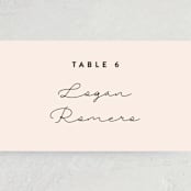 "Just the Two of Us" - Place Cards in Blush by Jennifer Wick - Detail