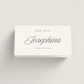 "Beautiful Day" - Place Cards in Graphite by Leah Bisch - Folded with Free Guest Printing