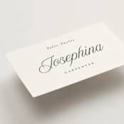"Beautiful Day" - Place Cards in Graphite by Leah Bisch - Detail