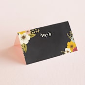 "Plentiful Blossoms" - Place Cards in Soft Peach by Faith Harlow - Blank front