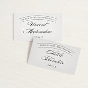"Big City - New York City" - Place Cards in Light Taupe by Hooray Creative - Front with Free Guest Printing