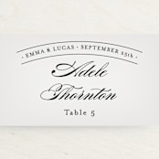 "Big City - New York City" - Place Cards in Light Taupe by Hooray Creative - Detail