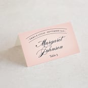 "Big City - San Francisco" - Place Cards in Blush by Hooray Creative - Folded with Free Guest Printing