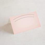 "Big City - San Francisco" - Place Cards in Blush by Hooray Creative - Blank front