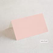 "Big City - San Francisco" - Place Cards in Blush by Hooray Creative - Folded Back of Card