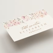 "kosmos" - Place Cards in Cotton Candy by Phrosné Barwood - Detail