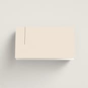 "Modern Aligned" - Place Cards in Creampuff by Carolyn MacLaren - Blank front