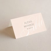 "Classic Lux" - Place Cards in Blush by Stacey Day - Folded with Free Guest Printing