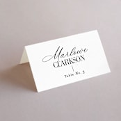 "This and That" - Place Cards in Diamond by Jessica Corliss - Folded with Free Guest Printing