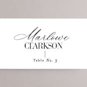 "This and That" - Place Cards in Diamond by Jessica Corliss - Detail