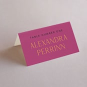 "Miami" - Place Cards in Bird of Paradise by Ashley DeMeyere - Folded with Free Guest Printing