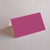 "Miami" - Place Cards in Bird of Paradise by Ashley DeMeyere - Blank front