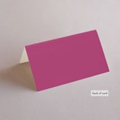 "Miami" - Place Cards in Bird of Paradise by Ashley DeMeyere - Folded Back of Card