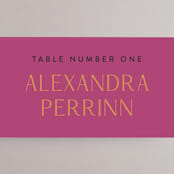 "Miami" - Place Cards in Bird of Paradise by Ashley DeMeyere - Detail