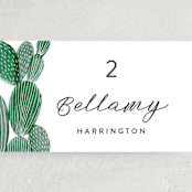 "Painted Cacti" - Place Cards in Cactus by Olivia Raufman - Detail