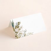 "Wedding Festive" - Place Cards in Frost by Chris Griffith - Blank front