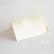 "Pastel Sky" - Place Cards in Moss by Hannah Williams - Folded Back of Card
