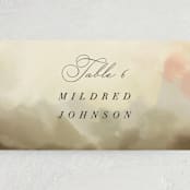"Pastel Sky" - Place Cards in Moss by Hannah Williams - Detail