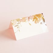"Garden" - Place Cards in Peach by Lori Wemple - Blank front