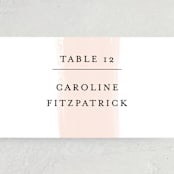 "Single Swath" - Place Cards in Blush by Angela Marzuki - Detail