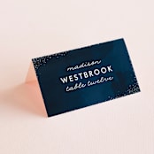 "tiny dots" - Place Cards in Sapphire by Erin Deegan - Folded with Free Guest Printing
