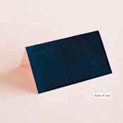 "tiny dots" - Place Cards in Sapphire by Erin Deegan - Folded Back of Card
