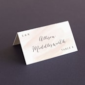 "Sophisticated script" - Place Cards in Blush by Hooray Creative - Folded with Free Guest Printing