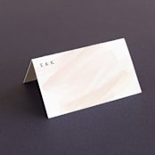 "Sophisticated script" - Place Cards in Blush by Hooray Creative - Blank front