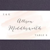"Sophisticated script" - Place Cards in Blush by Hooray Creative - Detail