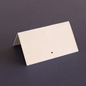 "Simply Perfect" - Place Cards in Blush by Brianne Larsen - Blank front