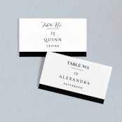 "The Minimalist" - Place Cards in Pearl by Kelly Schmidt - Front with Free Guest Printing